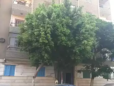 Apartments For rent in Salim Al Awal St, El Zaytoun El-Bahareya, 160 sqm