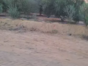 Farm For sale in Wadi El Natrun, Beheira, 126000 sqm