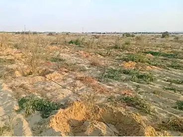 عقارات للبيع في وادي النطرون، البحيرة، 105000 متر