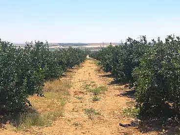 in Manteqat El 2000 Fadan, El Sadat City, 2520000 sqm
