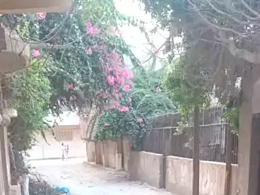 Apartments For sale in Shahr El Assal, El Bitash, 100 sqm