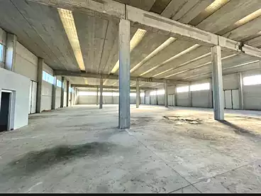 Properties For sale in El Mansoura - Gamasa Road, Dakahlia, 2704 sqm