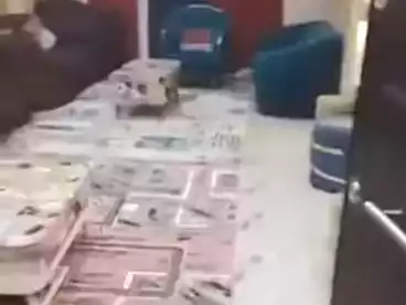شقق للبيع في شارع الشيشيني، المريوطية، 160 متر