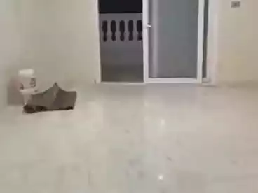 شقق للبيع في شارع 27، النزهة 2، 120 متر