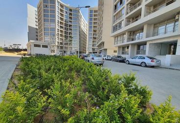 Apartments For sale in One Kattameya Compound - Morshedy Group