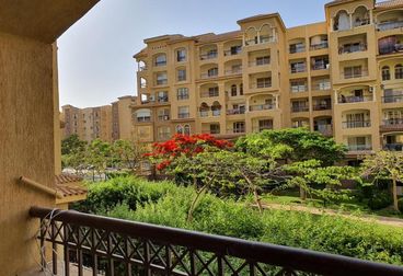listing-image