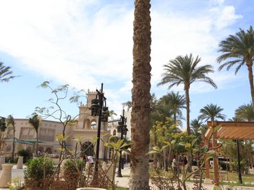 listing-image