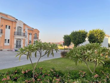 listing-image
