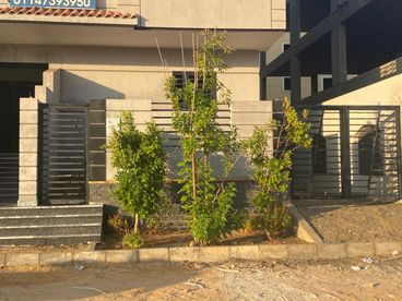 listing-image
