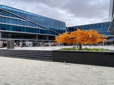 listing-image