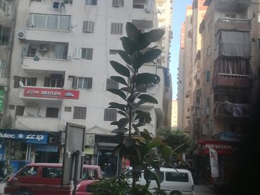 listing-image