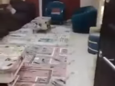 شقة للبيع بالعفش او بدون شارع محمود عارف الجانبي من الشيشيني بالمريوطية فيصل