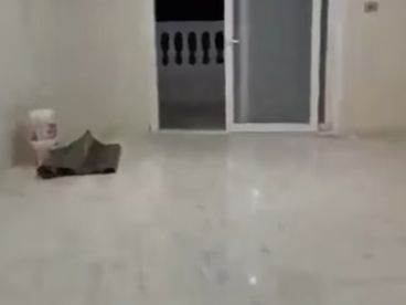 شقه للبيع ش27