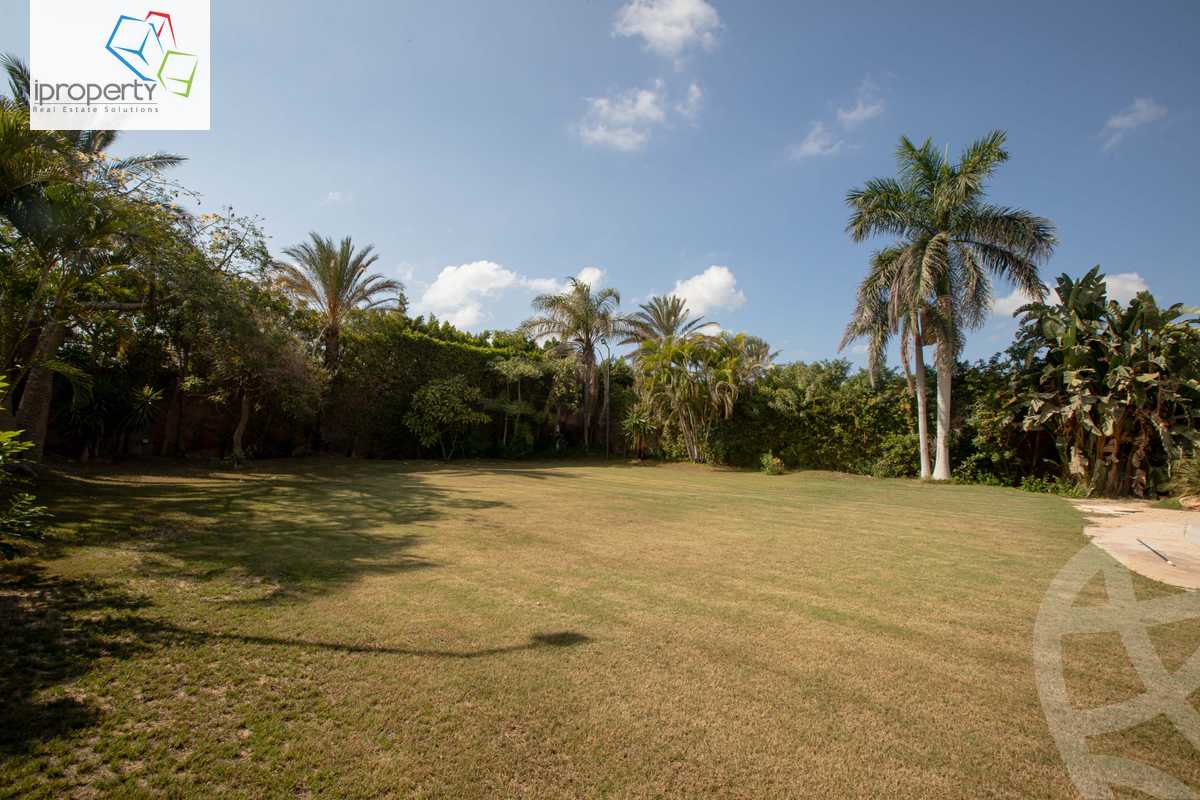 https://aqarmap.com.eg/ar/listing/4180581-for-rent-mohamed-rashid-st