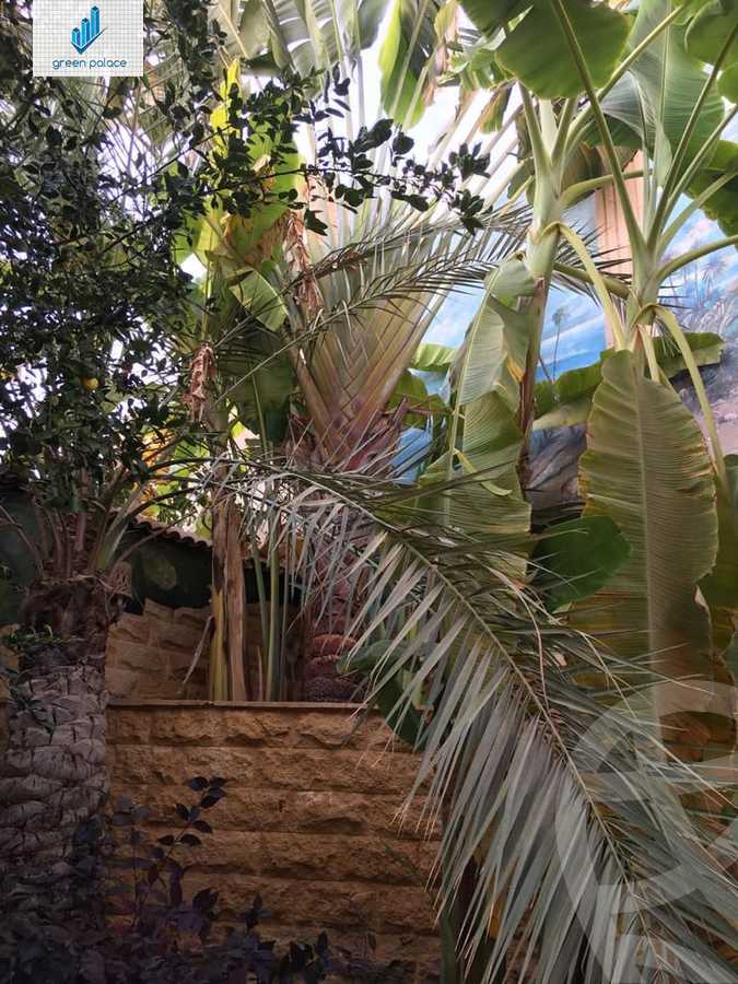 https://aqarmap.com.eg/en/listing/6053360-for-sale-cairo-new-cairo-ganob-el-akadamiya-orouba-axis