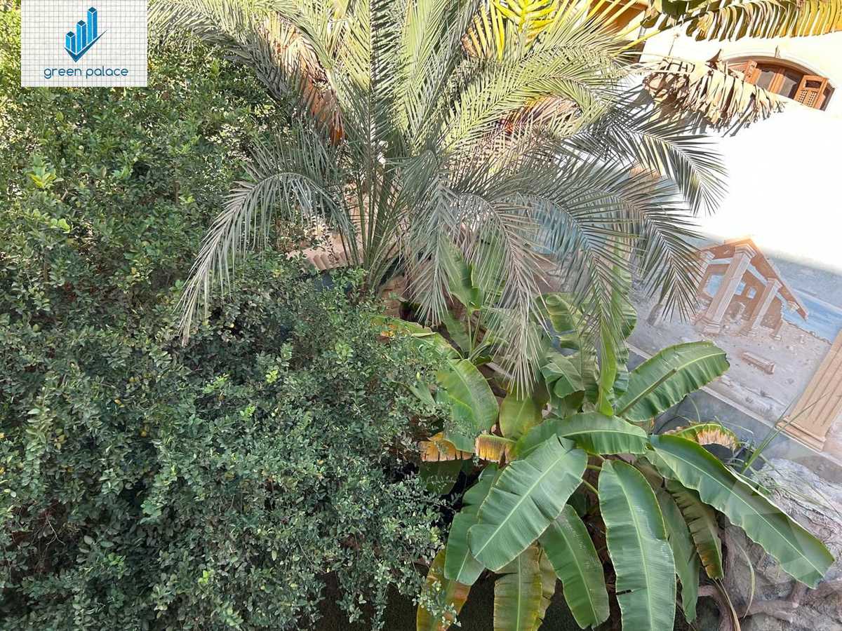 https://aqarmap.com.eg/en/listing/6053360-for-sale-cairo-new-cairo-ganob-el-akadamiya-orouba-axis
