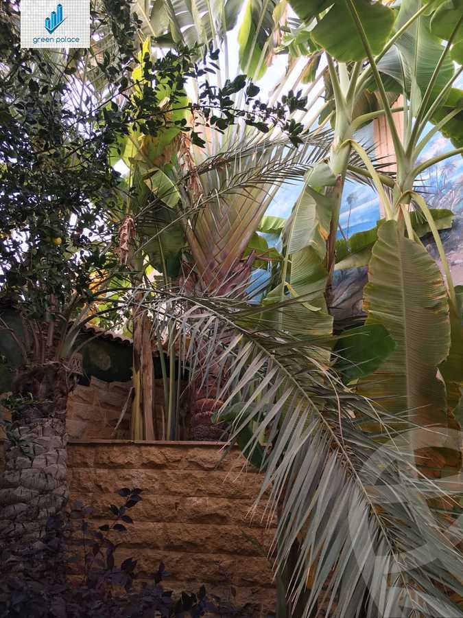 https://aqarmap.com.eg/en/listing/6053360-for-sale-cairo-new-cairo-ganob-el-akadamiya-orouba-axis