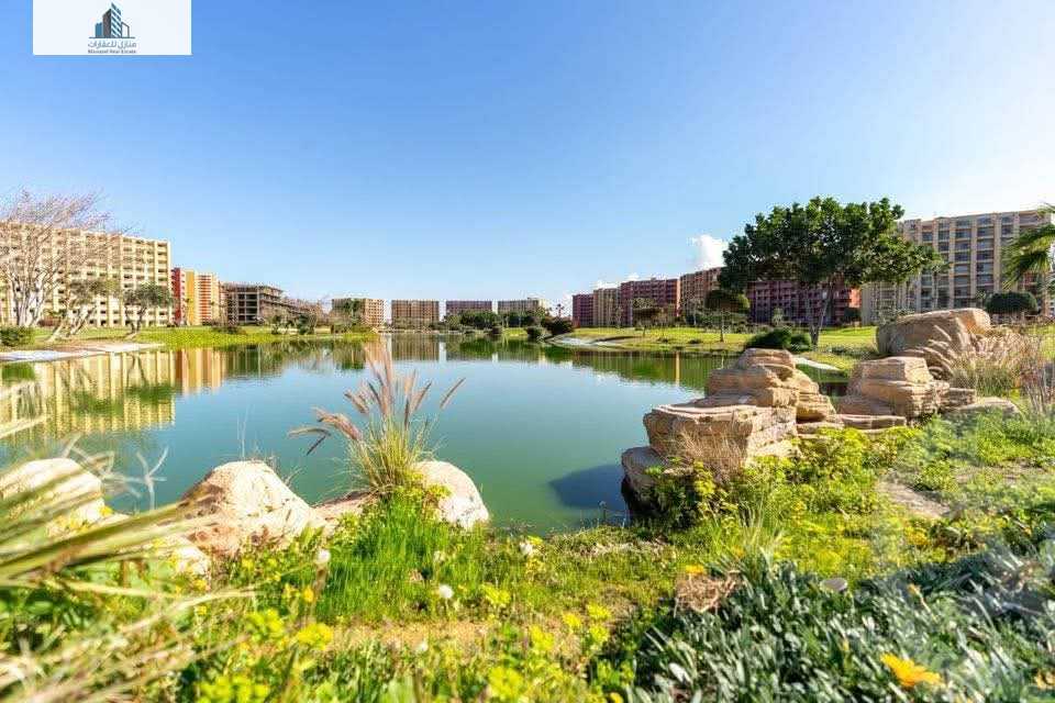 https://aqarmap.com.eg/en/listing/6238113-for-sale-north-coast-resorts-porto-golf-marina