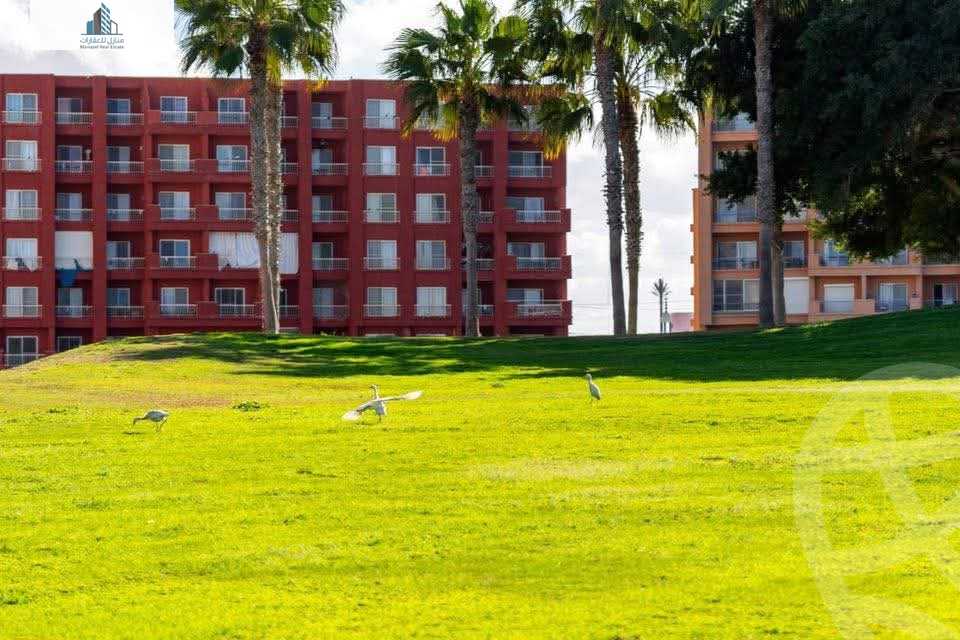 https://aqarmap.com.eg/en/listing/6238113-for-sale-north-coast-resorts-porto-golf-marina