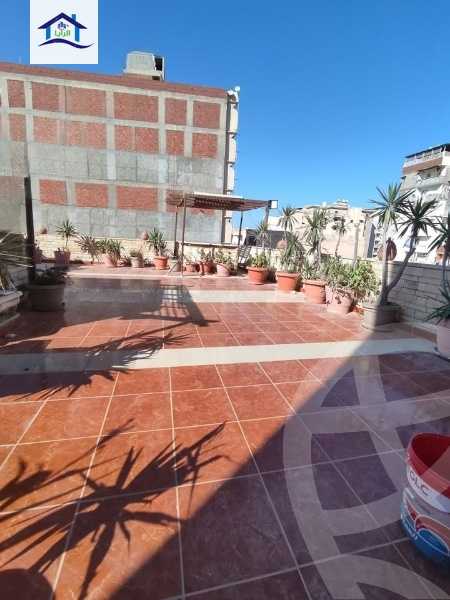 https://aqarmap.com.eg/en/listing/5864922-for-sale-alexandria-l-jmy-lbytsh-bianchiii