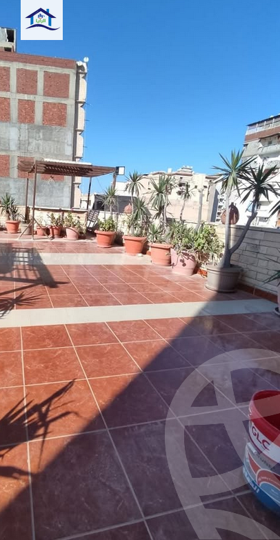 https://aqarmap.com.eg/en/listing/5871780-for-sale-alexandria-l-jmy-lbytsh-bianchiii