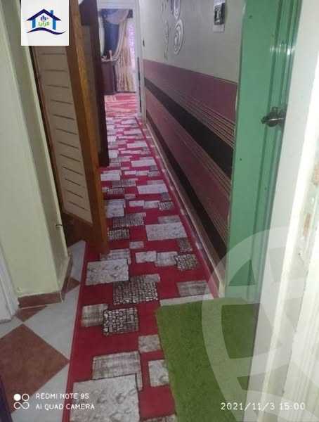 https://aqarmap.com.eg/en/listing/5927470-for-sale-alexandria-l-jmy-lbytsh-sabrin-st