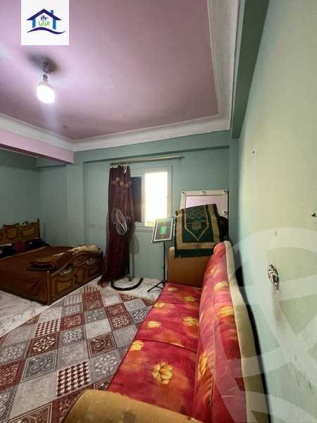 https://aqarmap.com.eg/en/listing/6025368-for-sale-alexandria-l-jmy-lbytsh-al-samalehy-2-st