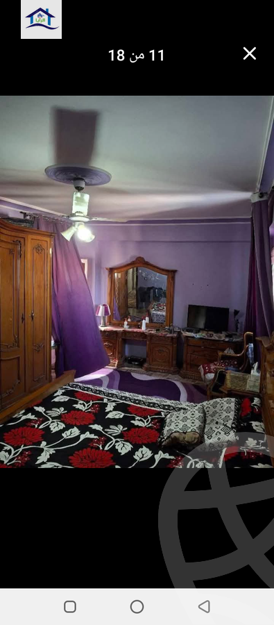 https://aqarmap.com.eg/en/listing/6040883-for-sale-alexandria-l-jmy-lbytsh-qased-kareem-st