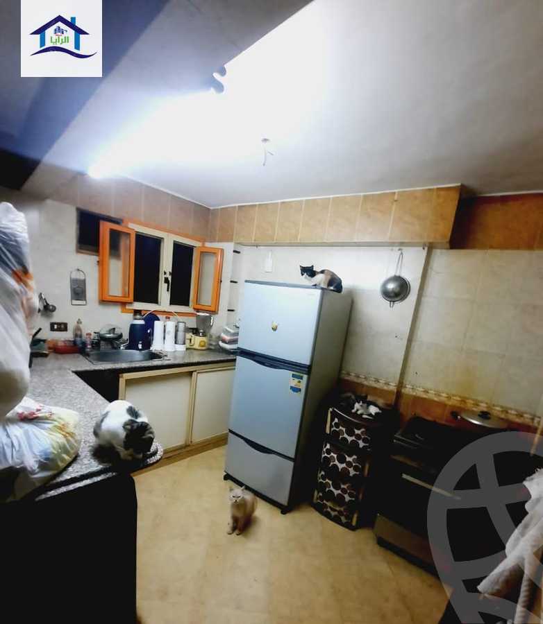 https://aqarmap.com.eg/en/listing/6092891-for-sale-alexandria-l-jmy-lbytsh-al-kaada-st
