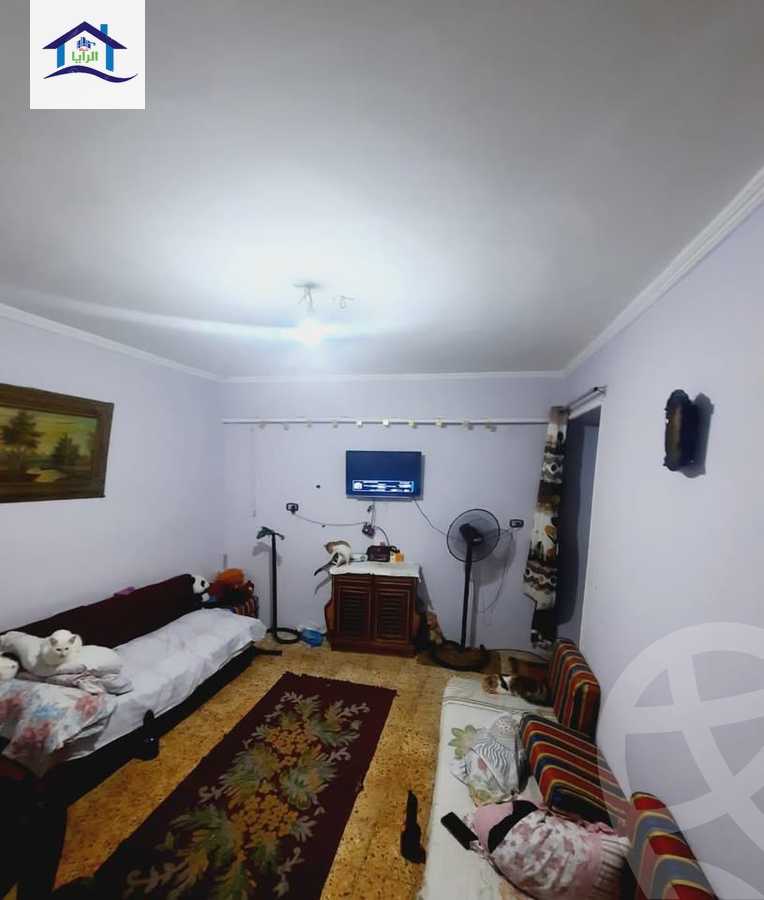 https://aqarmap.com.eg/en/listing/6092891-for-sale-alexandria-l-jmy-lbytsh-al-kaada-st
