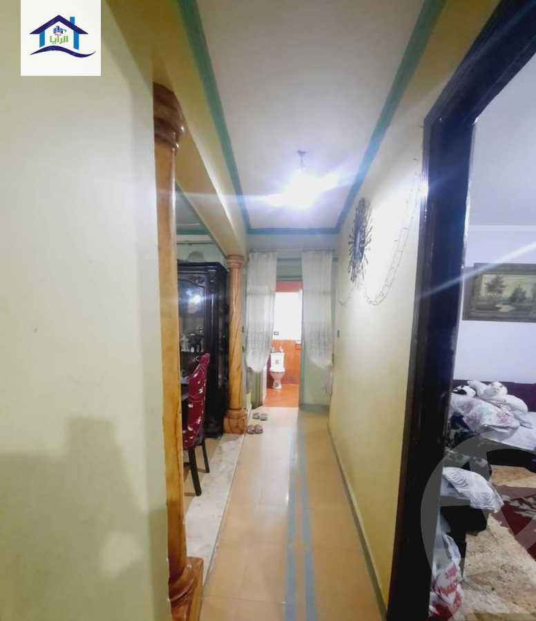 https://aqarmap.com.eg/en/listing/6092891-for-sale-alexandria-l-jmy-lbytsh-al-kaada-st