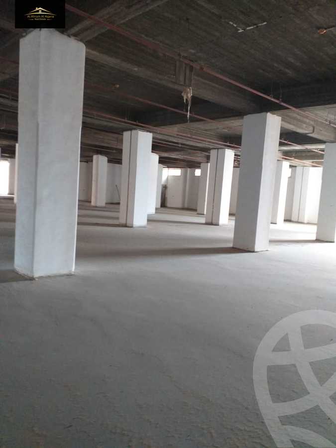 https://aqarmap.com.eg/en/listing/4210285-for-rent-cairo-new-cairo-new-cairo-extension