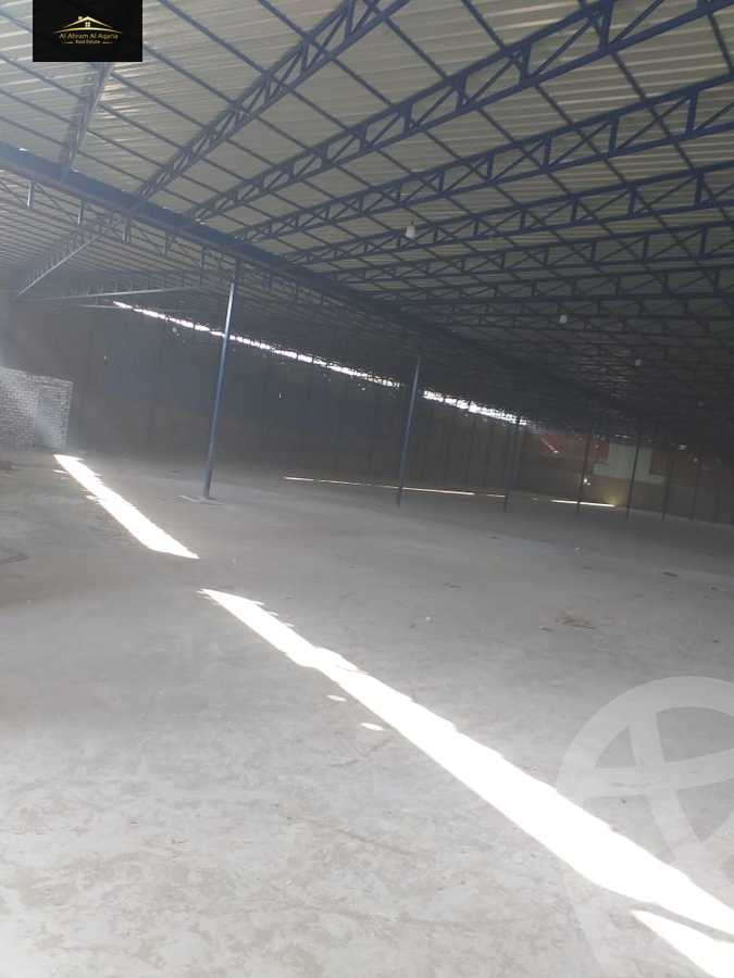 https://aqarmap.com.eg/en/listing/4211666-for-rent-cairo-new-cairo-ring-road
