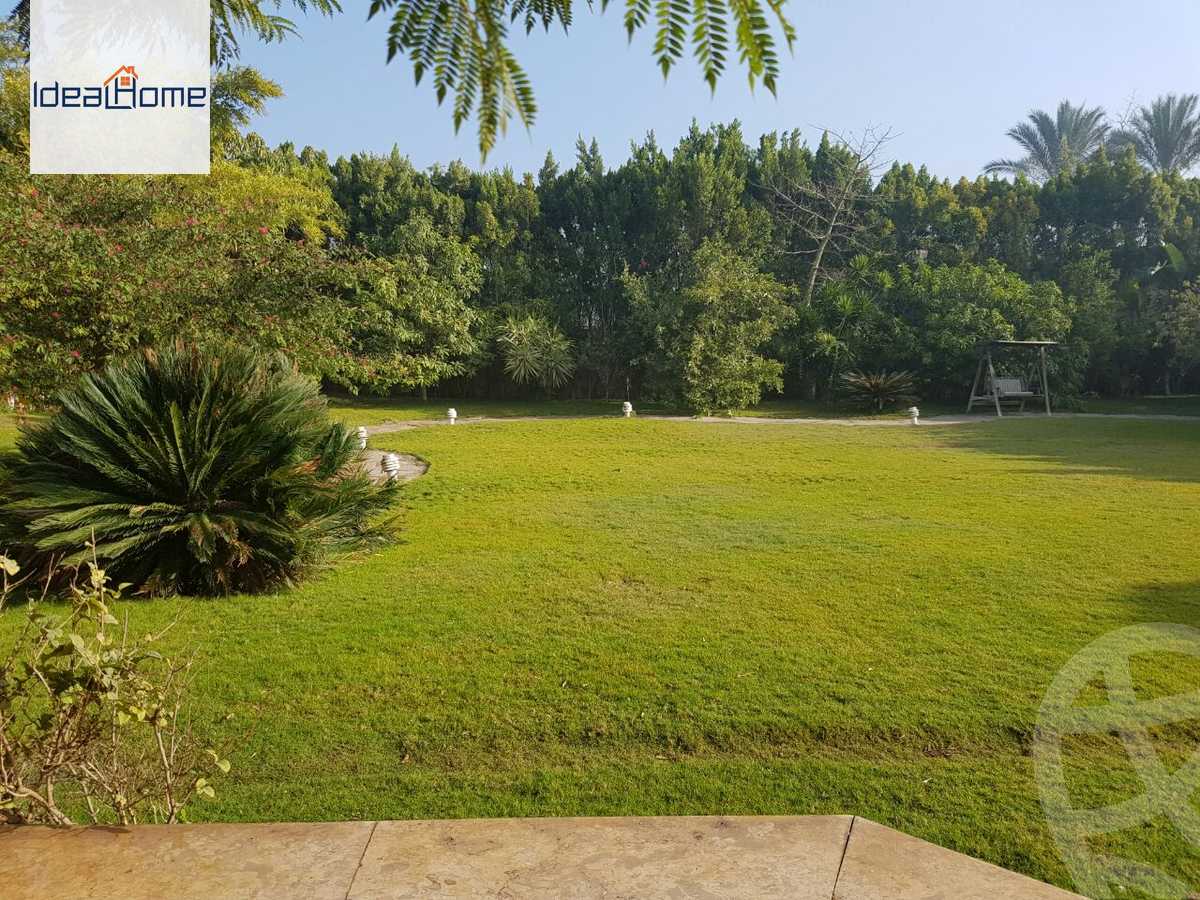 https://aqarmap.com.eg/en/listing/4010427-for-rent-cairo-alex-cairo-desert-road-wdy-lnkhyl