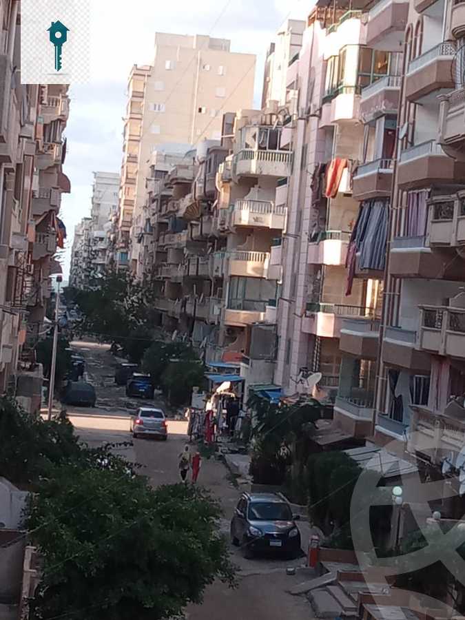 https://aqarmap.com.eg/ar/listing/3741322-for-sale-alexandria-l-jmy-shataa-el-nakheel-street-23