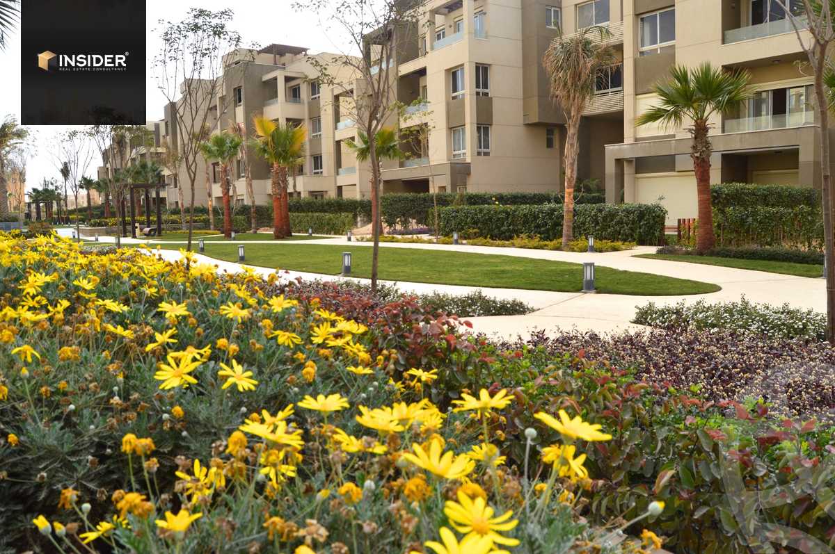 https://aqarmap.com.eg/en/listing/4265911-for-sale-cairo-new-cairo-compounds-park-view