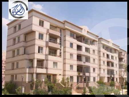 https://aqarmap.com.eg/en/listing/4225663-for-rent-cairo-new-cairo-lrhb-city-phase-2-saed-ibn-mouaaz-st
