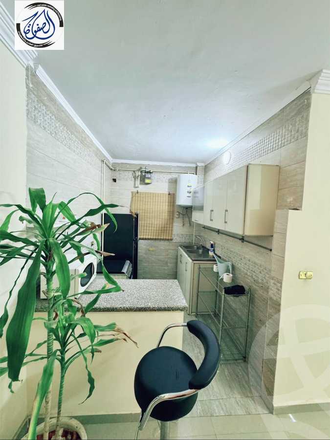 https://aqarmap.com.eg/en/listing/5385815-for-rent-cairo-new-cairo-ganob-el-akadamiya
