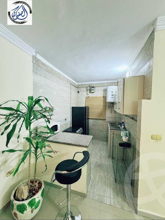 https://aqarmap.com.eg/en/listing/5385815-for-rent-cairo-new-cairo-ganob-el-akadamiya