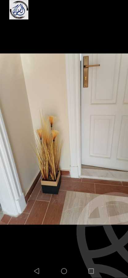https://aqarmap.com.eg/en/listing/5440120-for-rent-cairo-new-cairo-el-yassamin-el-yasmeen-3-mohamed-rahim-st