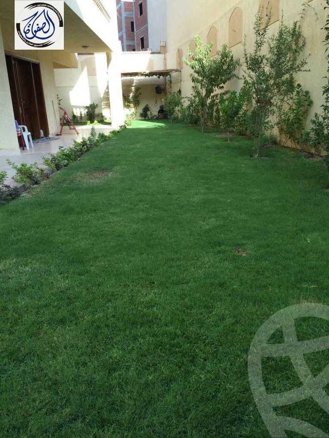 https://aqarmap.com.eg/en/listing/5599445-for-rent-cairo-new-cairo-el-yassamin-el-yasmeen-7-el-shaikh-hassan-mamoun-st