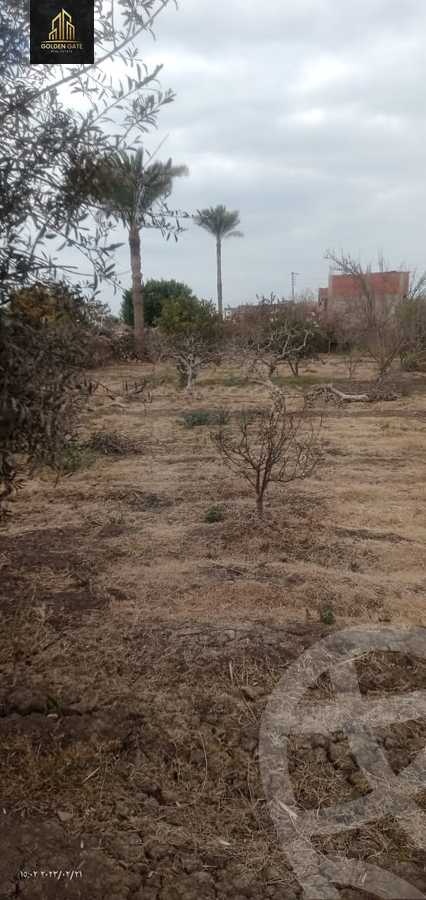 https://aqarmap.com.eg/ar/listing/4123162-for-sale-qalyubia-qlioub-sndyoun