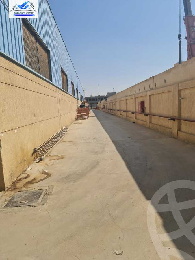 https://aqarmap.com.eg/en/listing/3967120-for-rent-cairo-new-cairo-third-settlement-first-neighborhood