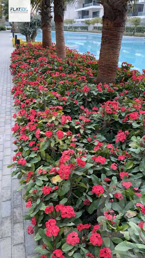 https://aqarmap.com.eg/en/listing/4222808-for-sale-cairo-new-cairo-compounds-lakeview-residence