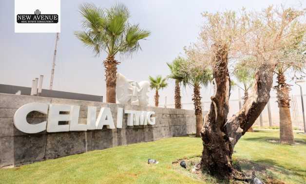 https://aqarmap.com.eg/en/listing/5707187-for-sale-cairo-new-administrative-capital-r7-celia-mntq-l-mrt-1