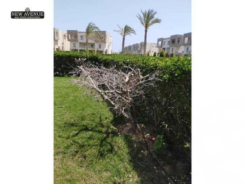 https://aqarmap.com.eg/en/listing/5809194-for-sale-north-coast-resorts-amwaj-amwaj-1