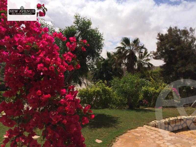 https://aqarmap.com.eg/en/listing/5809592-for-sale-north-coast-resorts-mntj-gdyr-bytsh-mjmw-l-mr