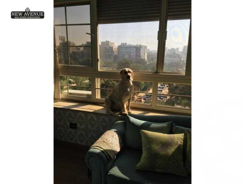 https://aqarmap.com.eg/en/listing/5840228-for-sale-cairo-heliopolis-merryland-nehro-st