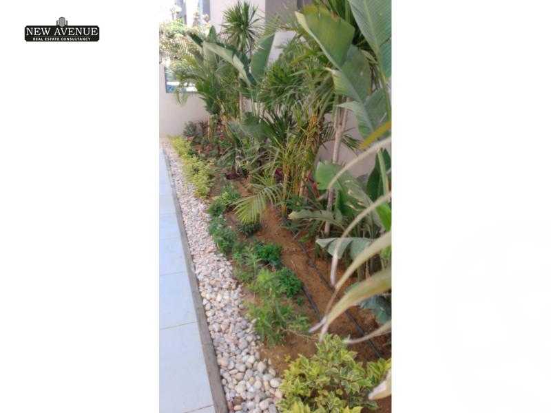 https://aqarmap.com.eg/en/listing/5918607-for-rent-cairo-new-cairo-compounds-village-garden-kattameya