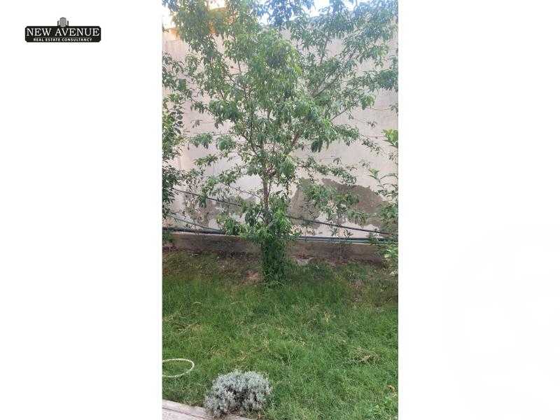 https://aqarmap.com.eg/en/listing/6003518-for-sale-cairo-el-shorouk-compounds-life-view